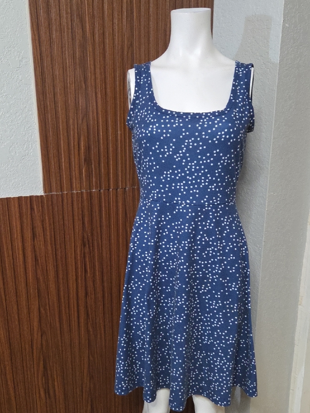 Blue Polka Dot Sleeveless Fit-and-Flare Mini Dress Small Sz